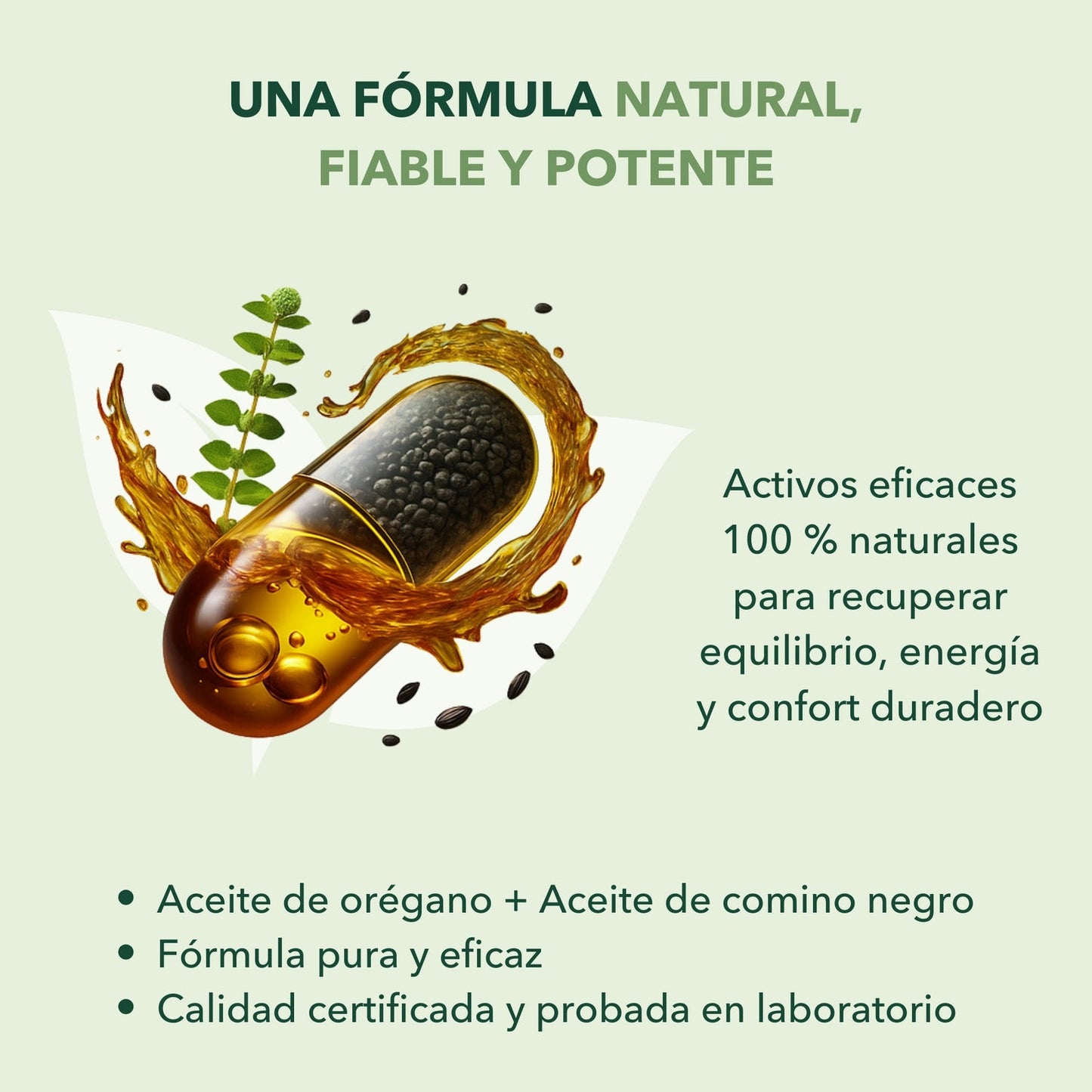 Original: Aceite de orégano con aceite de semilla de comino negro-90 Capsulas